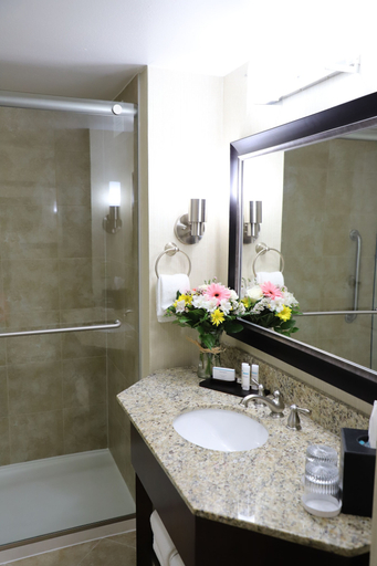 Bathroom 4, Embassy Suites Nashville - at Vanderbilt, Davidson