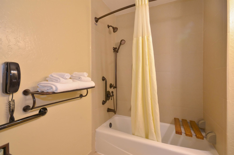 Bathroom 8