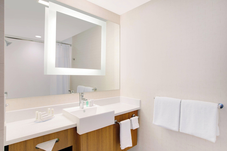 Bathroom 3, SpringHill Suites by Marriott Murray, Calloway
