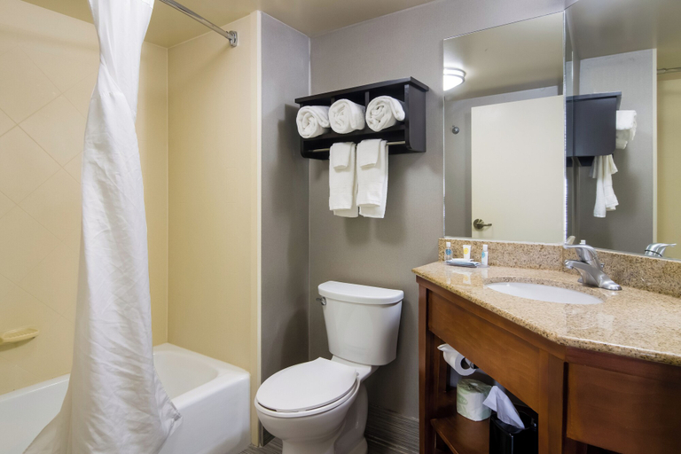 Bathroom 4, Comfort Inn Cadillac, Wexford