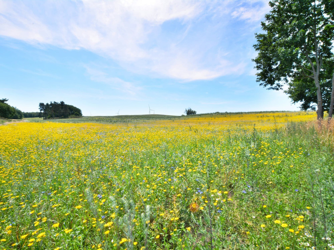 View from property 4, Comfortable Holiday Home, Sauna + hot tub Included, Sławno