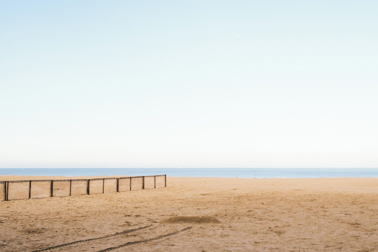 Beach, Apartment Near Sandy Beach in Coastal Area, West-Vlaanderen