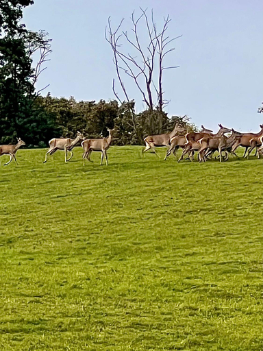 Others 5, Natur Kan, Szentlőrinci