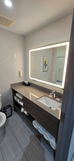 Bathroom 5, Comfort Suites Conway, Faulkner