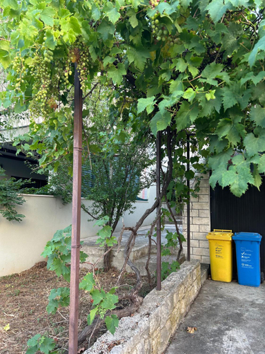 Others 4, Apartments Sonya Garden BBQ Supetar, Supetar