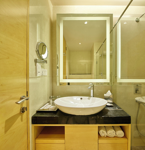 Bathroom 5, Sayaji Raipur, Raipur