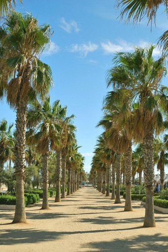 Others 4, New Room in the beach, Valencia