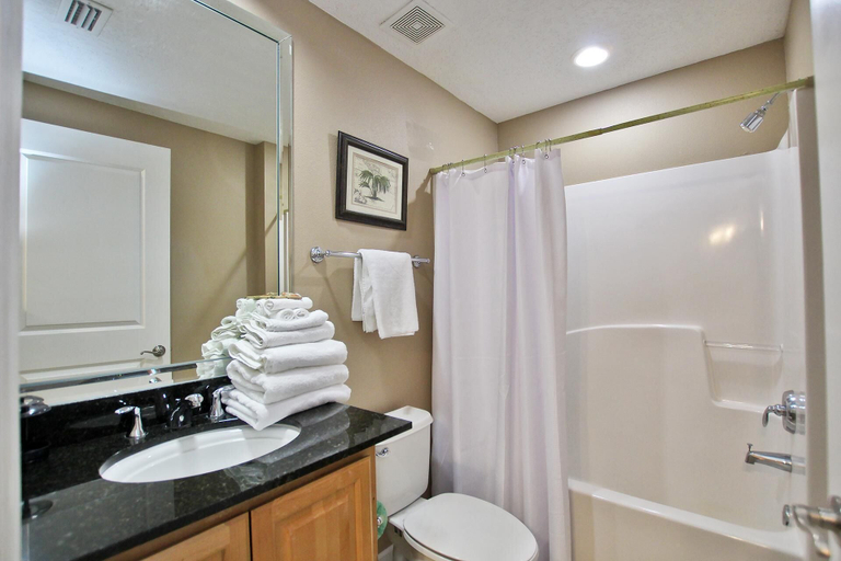 Bathroom 2, Colonnades 1202, Baldwin