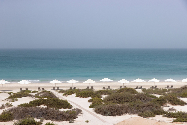 Scenery 23