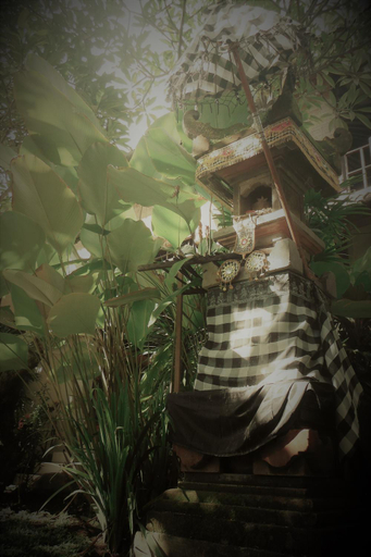 Others 2, Sunshine Beach Bungalows and Restaurant, Karangasem
