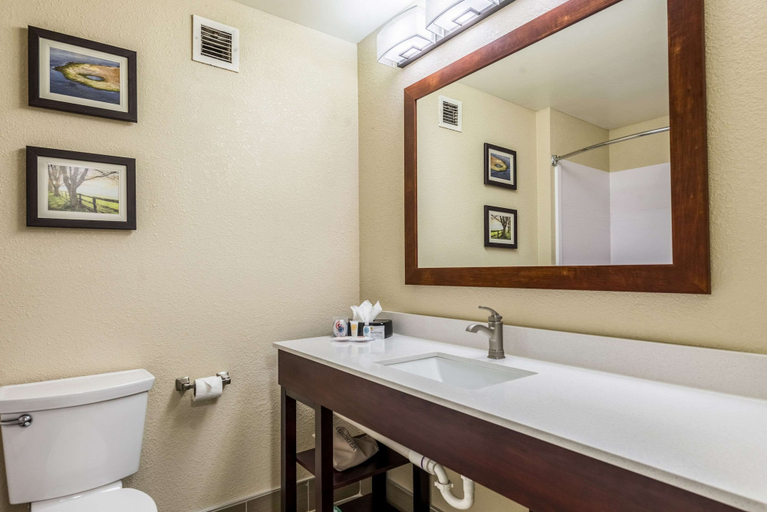 Bathroom 4, Comfort Inn & Suites Dayton North, Montgomery