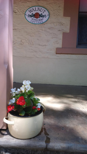 Others 5, Walnut Cottage, Barossa - Angaston