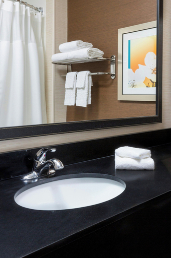 Bathroom 4, Fairfield Inn & Suites Lincoln, Lancaster