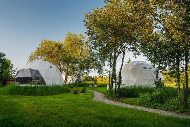 Others 4, Glamping Biala Czapla nad jeziorem czorsztynskim, Nowy Targ