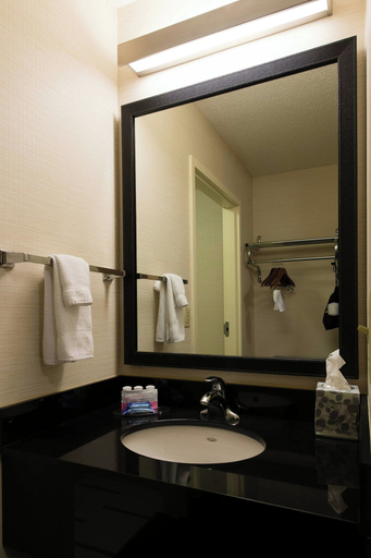 Bathroom 5, Fairfield Inn by Marriott Orangeburg, Orangeburg