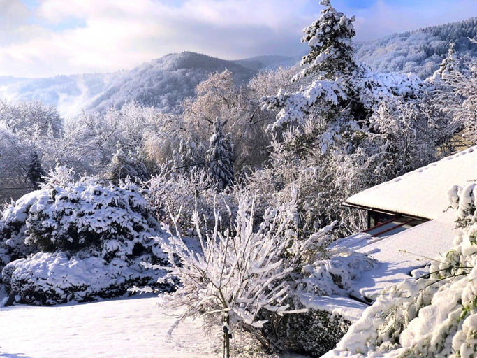 Chalet in Sougny-Remouchamps, Liège