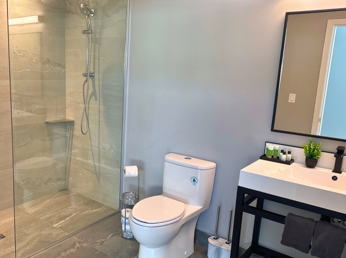 Bathroom 3, Orchard Run Chalet, Grey