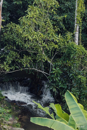 Scenery 19