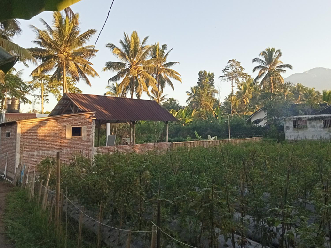 Stay Together, Lombok