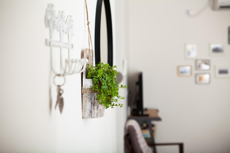 Others 3, Olive - Israeli Zimmer