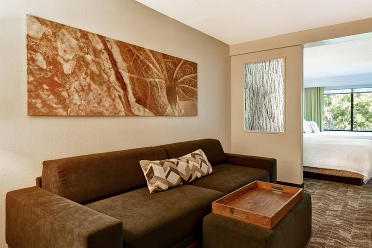Others 5, SpringHill Suites by Marriott Atlanta Kennesaw, Cobb
