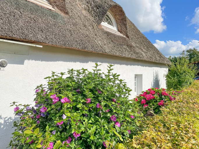 Exterior 3, Charmantes Reetdachhaus in Lehe, Dithmarschen