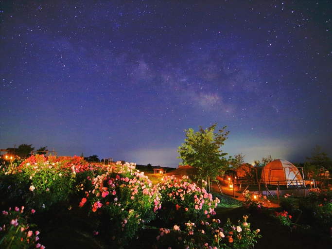 Others 5, Kuju Flower Park Camping Resort Flowers and Stars, Taketa