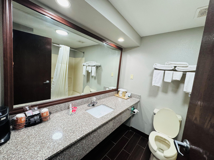 Bathroom 5, Econo Lodge Inn & Suites Centerville, Hickman