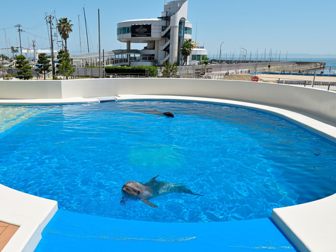Sport & Beauty 3, Kobe Suma Sea World Hotel, Kobe