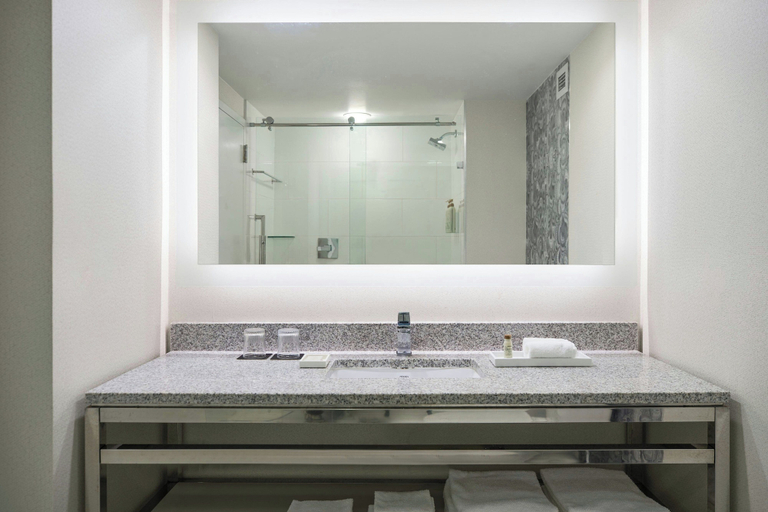 Bathroom 4, Renaissance Meadowlands Hotel, Bergen