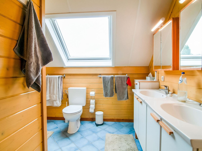 Bathroom 4, Villa in Sart Jalhay With Swimming Pool, Liège