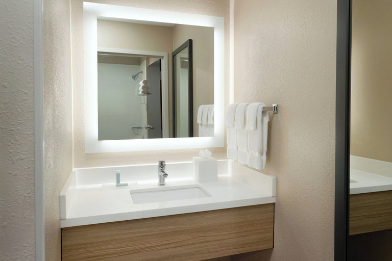 Bathroom 4, Springhill Suites By Marriott Atlanta Six Flags, Douglas
