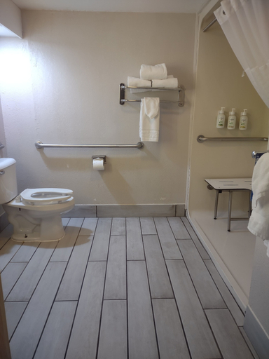 Bathroom 4, Baymont by Wyndham Flat Rock, Wayne