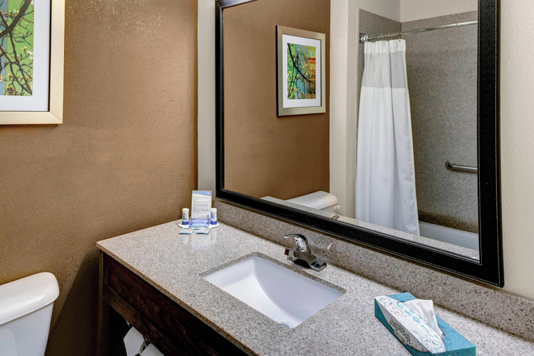Bathroom 4, Fairfield Inn by Marriott Dothan, Houston