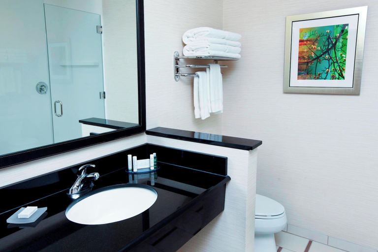 Bathroom 4, Fairfield Inn & Suites by Marriott Omaha Papillion, Sarpy