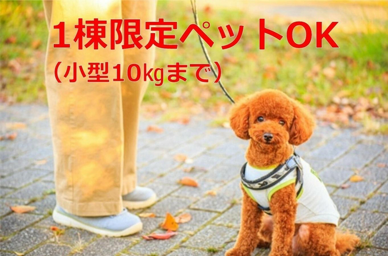 Food & Drinks 2, Kuju Flower Park Camping Resort Flowers and Stars, Taketa