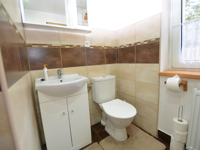 Bathroom 4, House in Bohemian Near Ski Slope, Chomutov