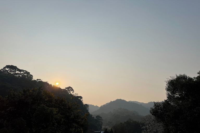 Scenery 12