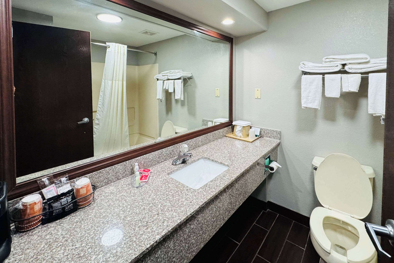Bathroom 5, Econo Lodge Inn & Suites Centerville, Hickman