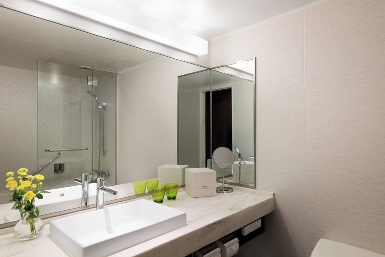 Bathroom 5, Karuizawa Marriott Hotel, Karuizawa
