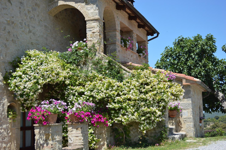 Bellavista, Grosseto