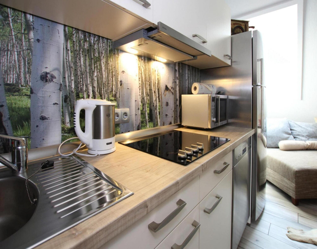 Private kitchen 2, Apartment Jagdschloesschen, Bad Sachsa, Osterode am Harz