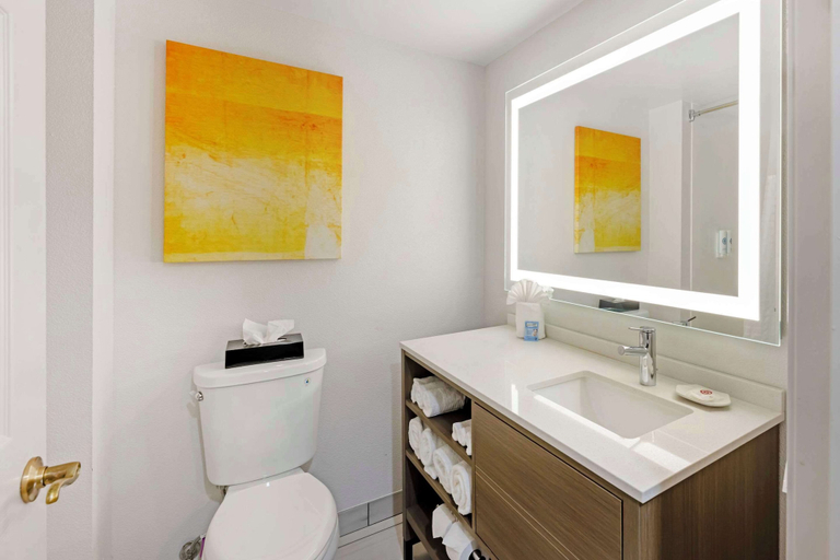 Bathroom 4, Comfort Inn & Suites Arlington Heights - Schaumburg, Cook