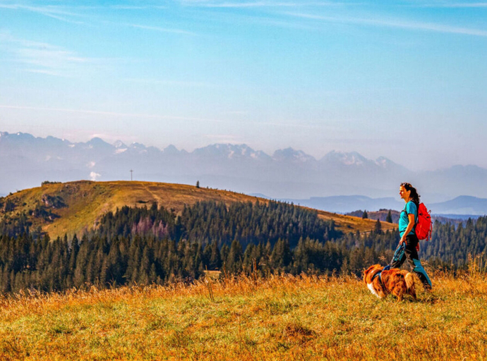 Property grounds, Huis Hochfirst Appartement 20, Breisgau-Hochschwarzwald