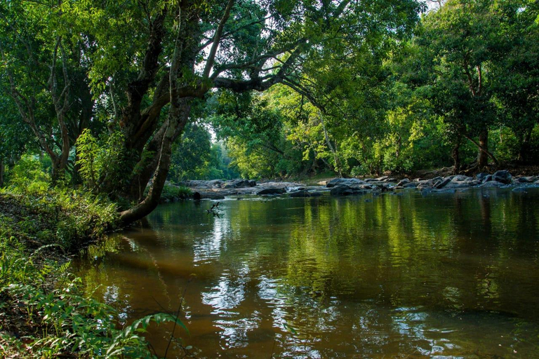 Others 5, Vanatheeram Resorts Kattikulam Tholppety Wayanad, Wayanad