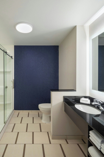 Bathroom 5, Fairfield Inn & Suites by Marriott Columbus Dublin, Franklin