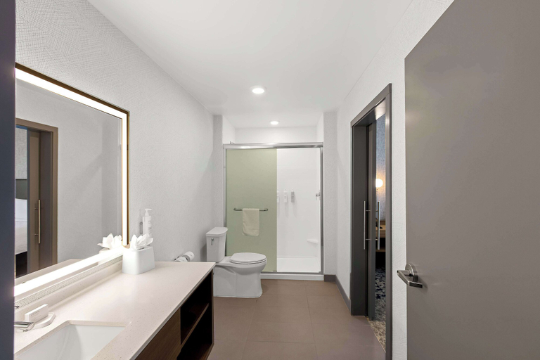 Bathroom 4, Home2 Suites By Hilton Hendersonville, Henderson