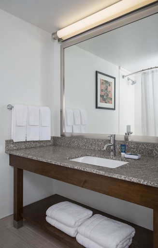 Bathroom 4, Four Points by Sheraton Buffalo Grove, Cook
