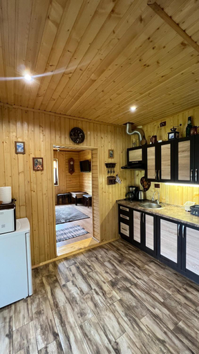 Food & Drinks 5, Rest houses FORUMS, Skolivs'kyi