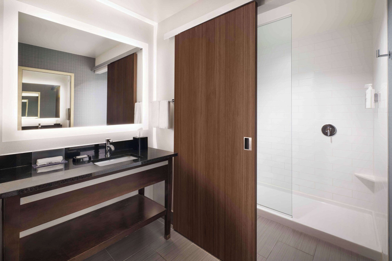 Bathroom 4, Hampton Inn & Suites Denver Downtown-Convention Center, Denver